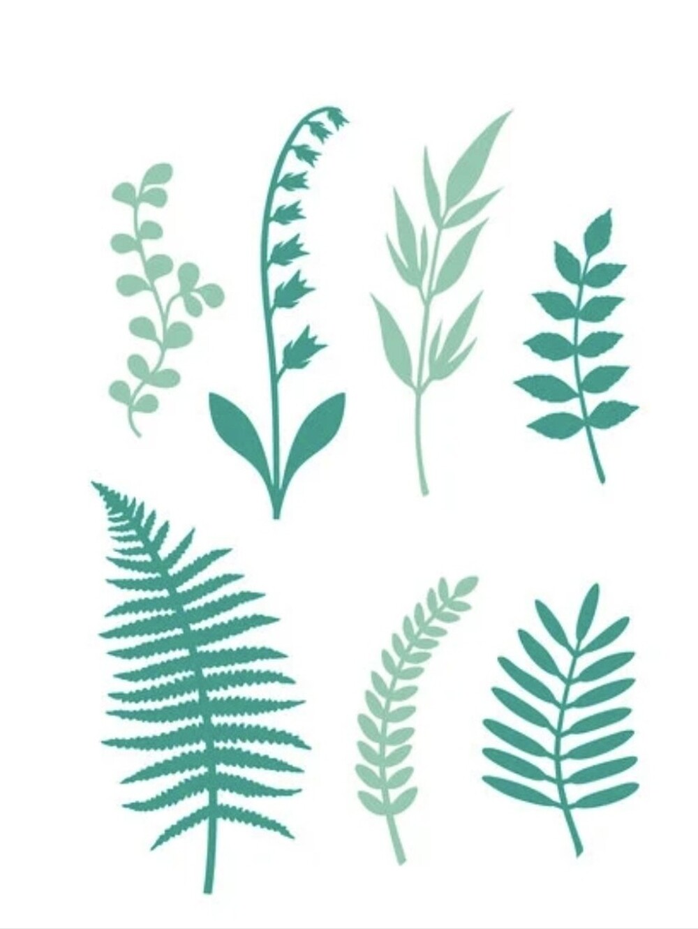 Scrapbook.com Delicate Leaves Shape Dies - 7pcs - Picture 2 of 2